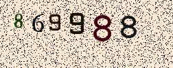 Visual Confirmation Security Code