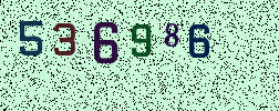 Visual Confirmation Security Code